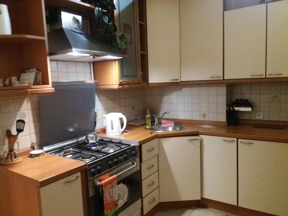 Apartment U Lidii In Center Of Kiev Near Railways Station Екстер'єр фото